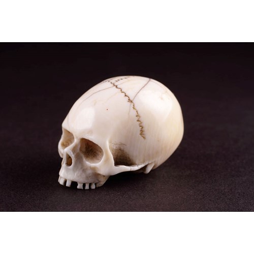 Japanese Carved Ivory Memento Mori Netsuke in the Form of a Skull